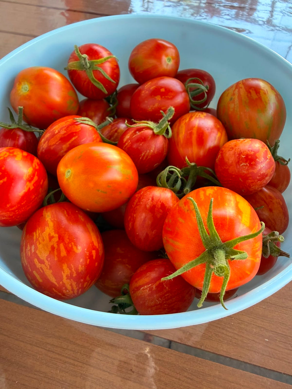 Tomaten Samen - Geflammtes Ei