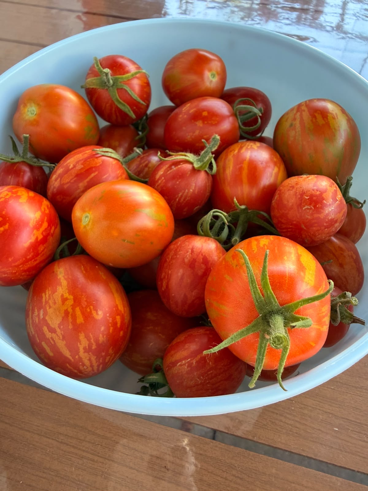 Tomaten Samen - Geflammtes Ei