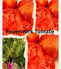 Tomaten Samen - Feuerwerk