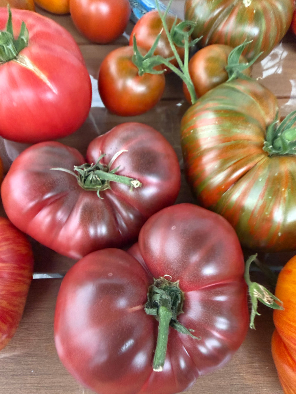 Tomaten Samen - Schwarzer Russe