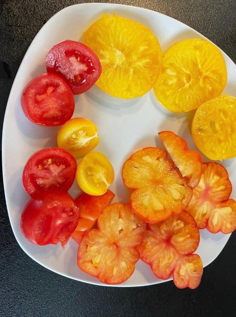 Tomaten Samen - Oaxacan Jewel