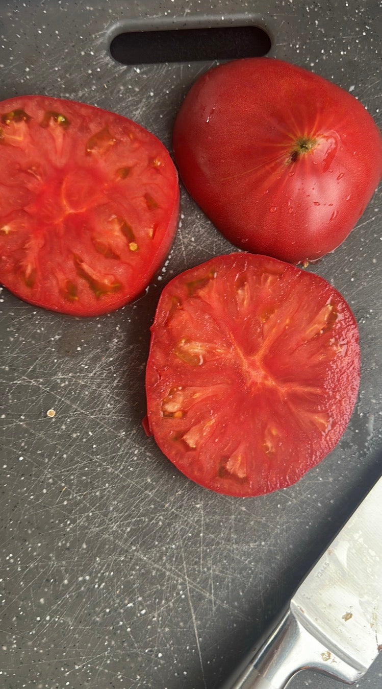 Tomaten Samen - Yusuf aus Usbekistan