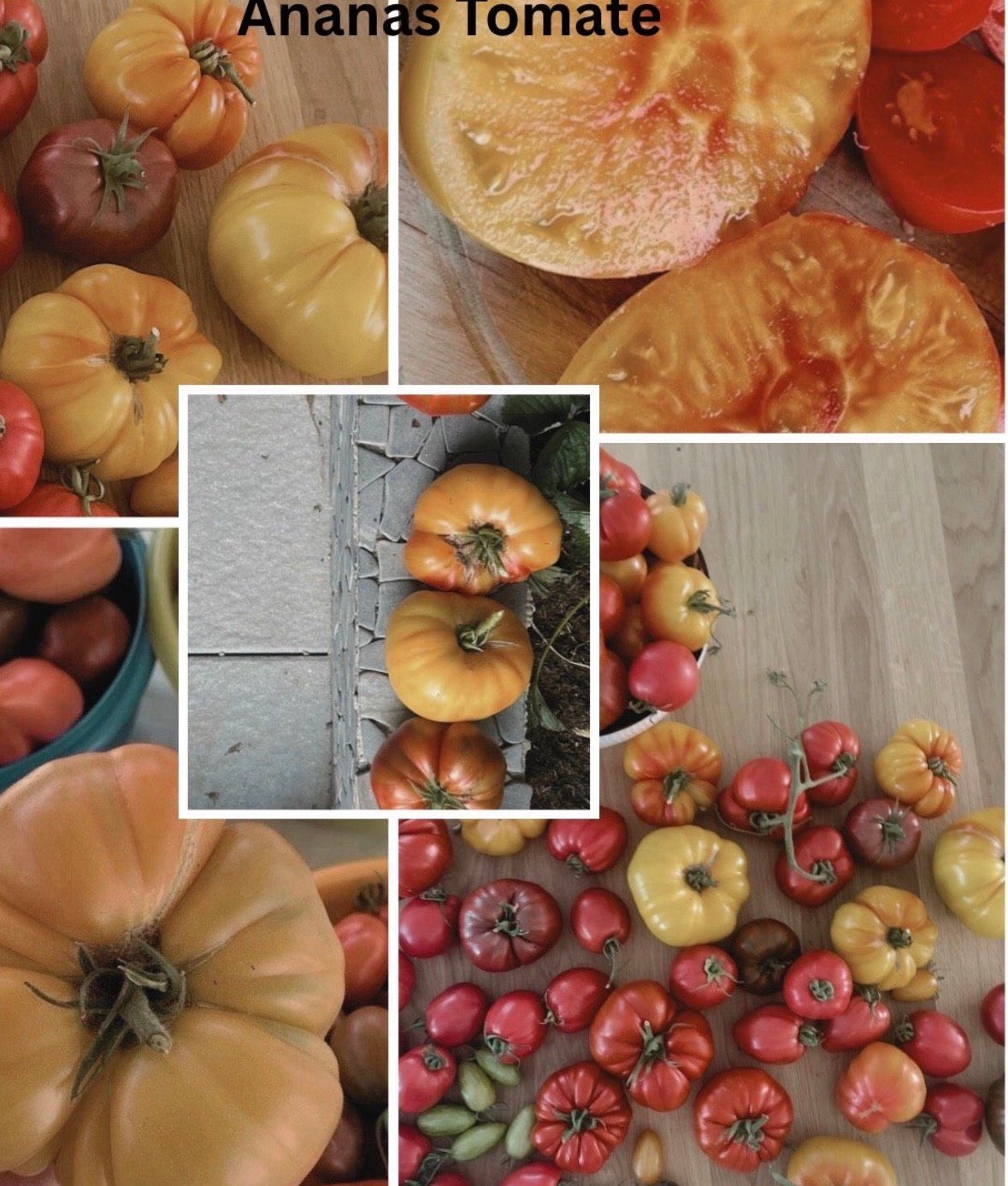 Tomaten Samen - Ananas