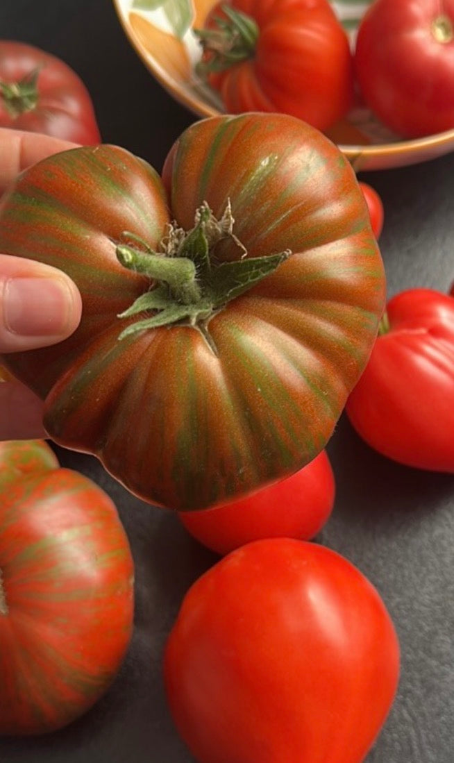 Tomaten Samen - Gestreifte Schokolade - Полосатый шоколад