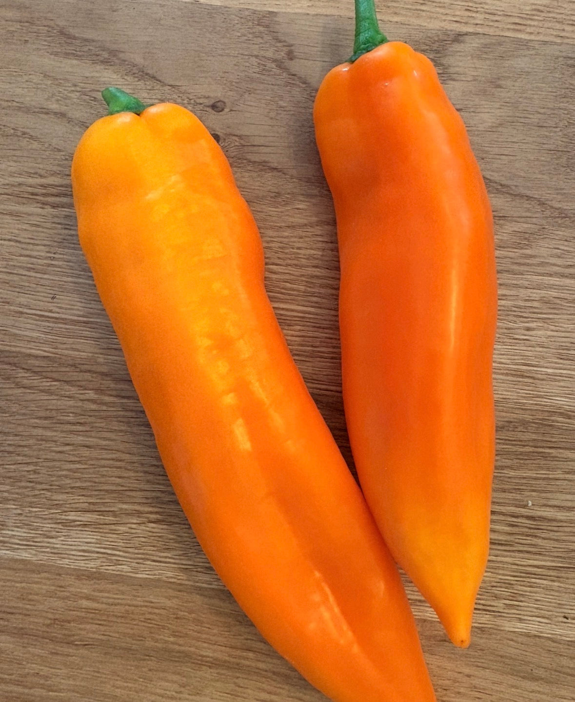 Paprika Samen - Rosa Wange - Orange Spitzpaprikas