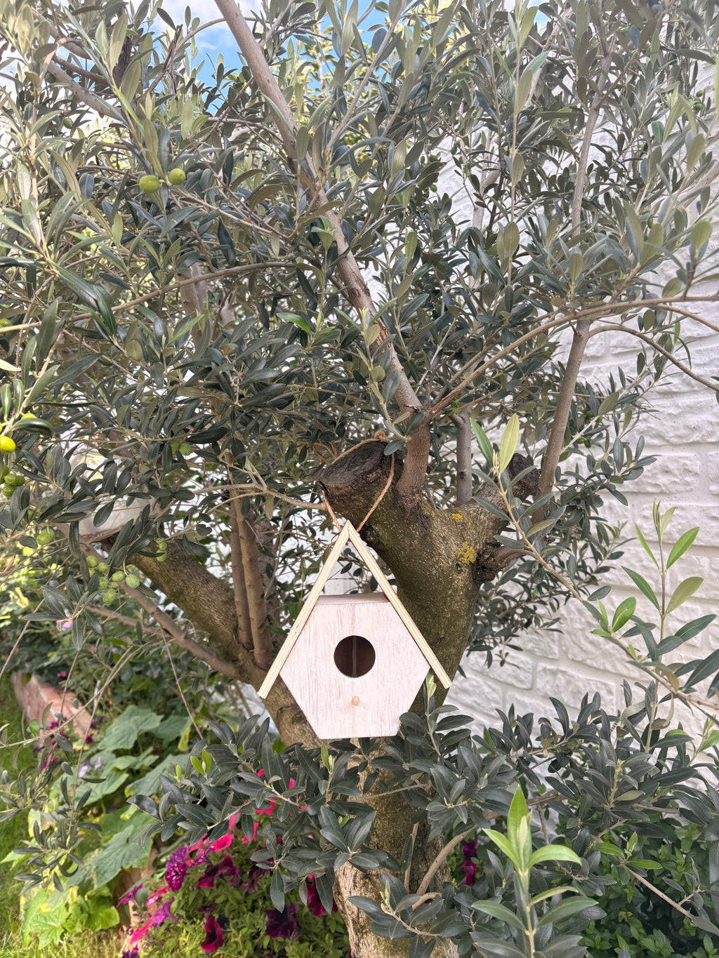 Vogelhaus - Naturhaus