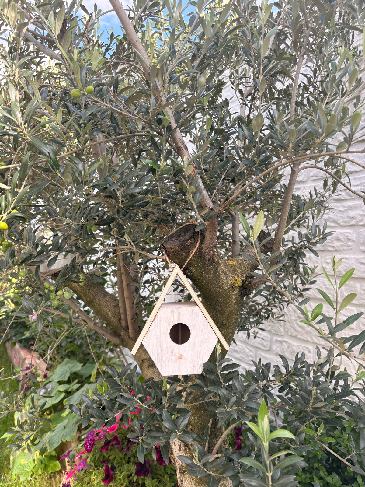 Vogelhaus - Naturhaus