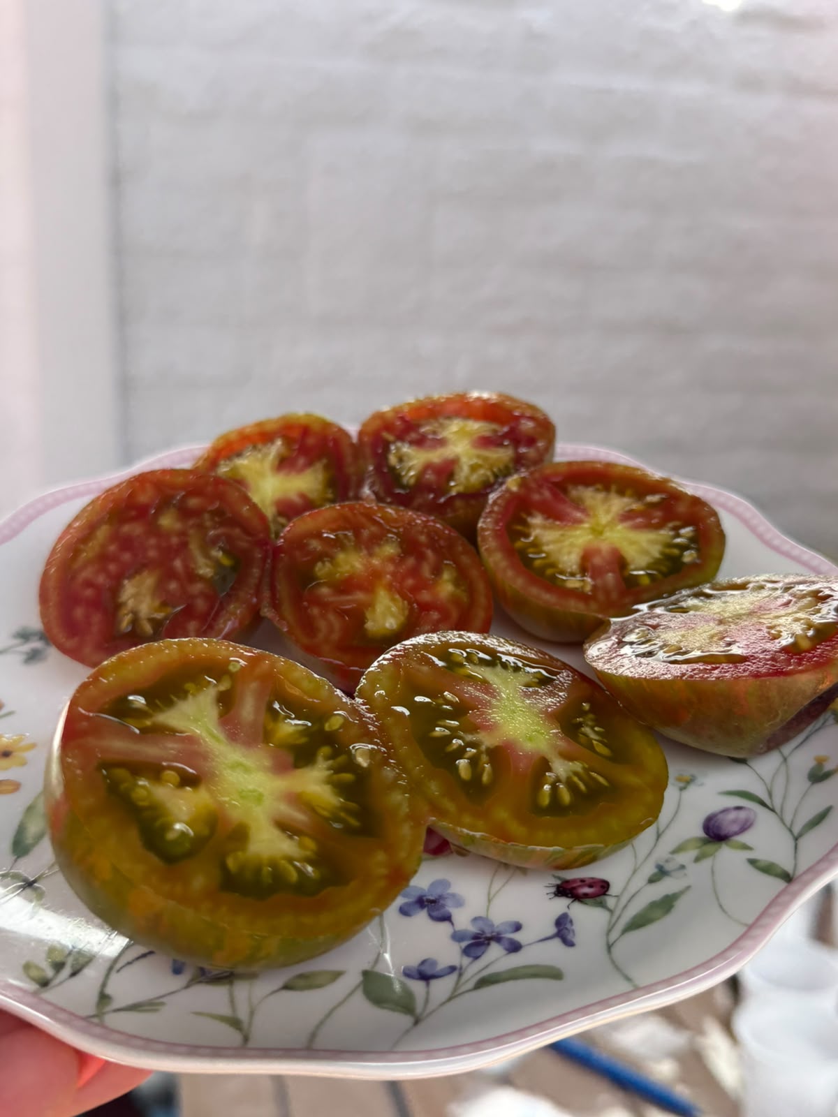 Tomaten Samen - Cassio
