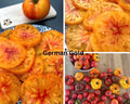 Tomaten Samen - German Gold