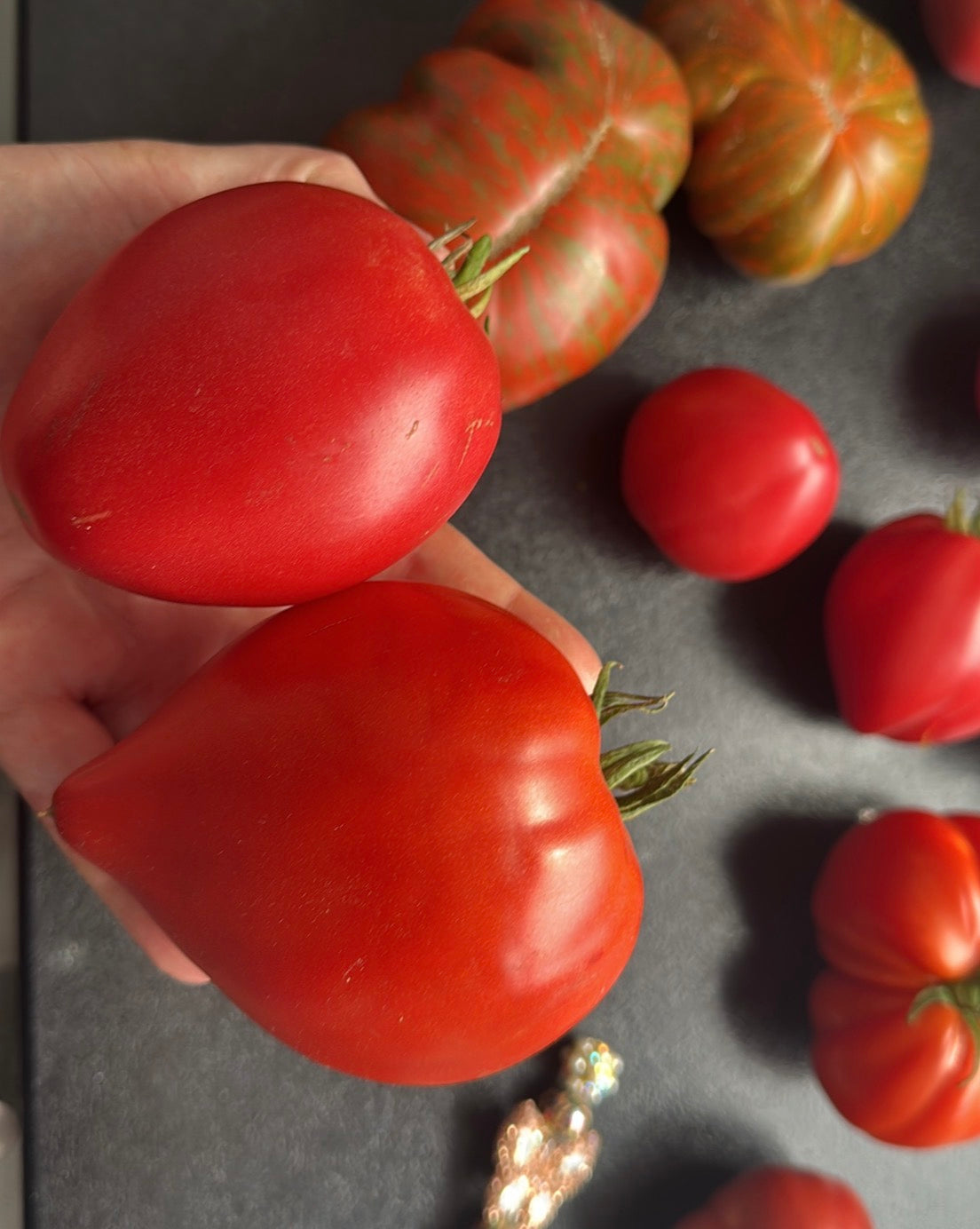Tomaten Samen - Venus Brust