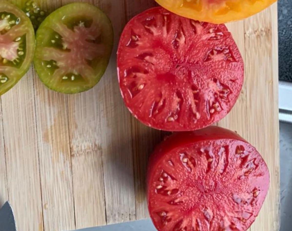 Tomaten Samen - Rosa Gigant