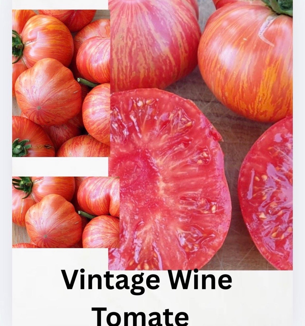 Tomaten Samen - Vintage Wine