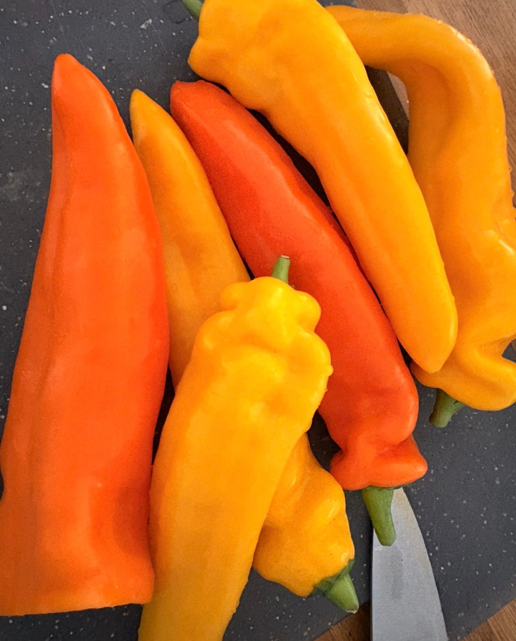 Paprika Samen - Rosa Wange - Orange Spitzpaprikas