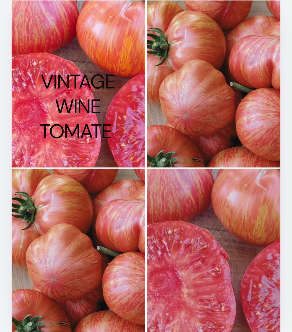 Tomaten Samen - Vintage Wine