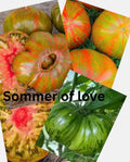 Tomaten Samen - Sommer of love