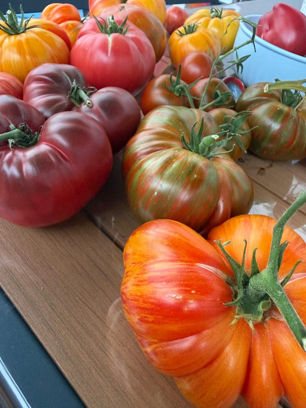 Tomaten Samen - German Gold