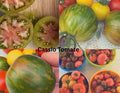 Tomaten Samen - Cassio