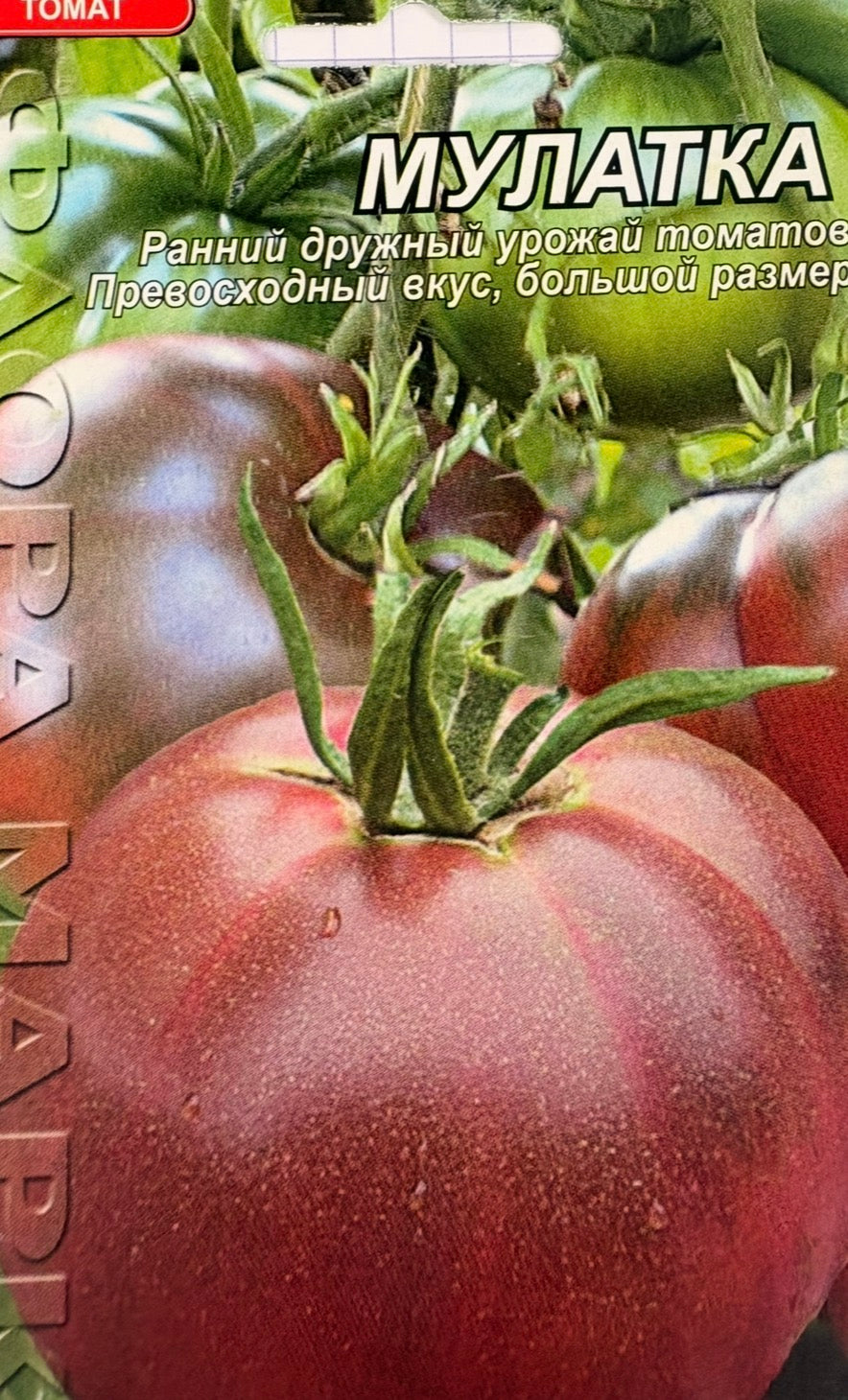 Tomaten Samen - Mulatin - Мулатка