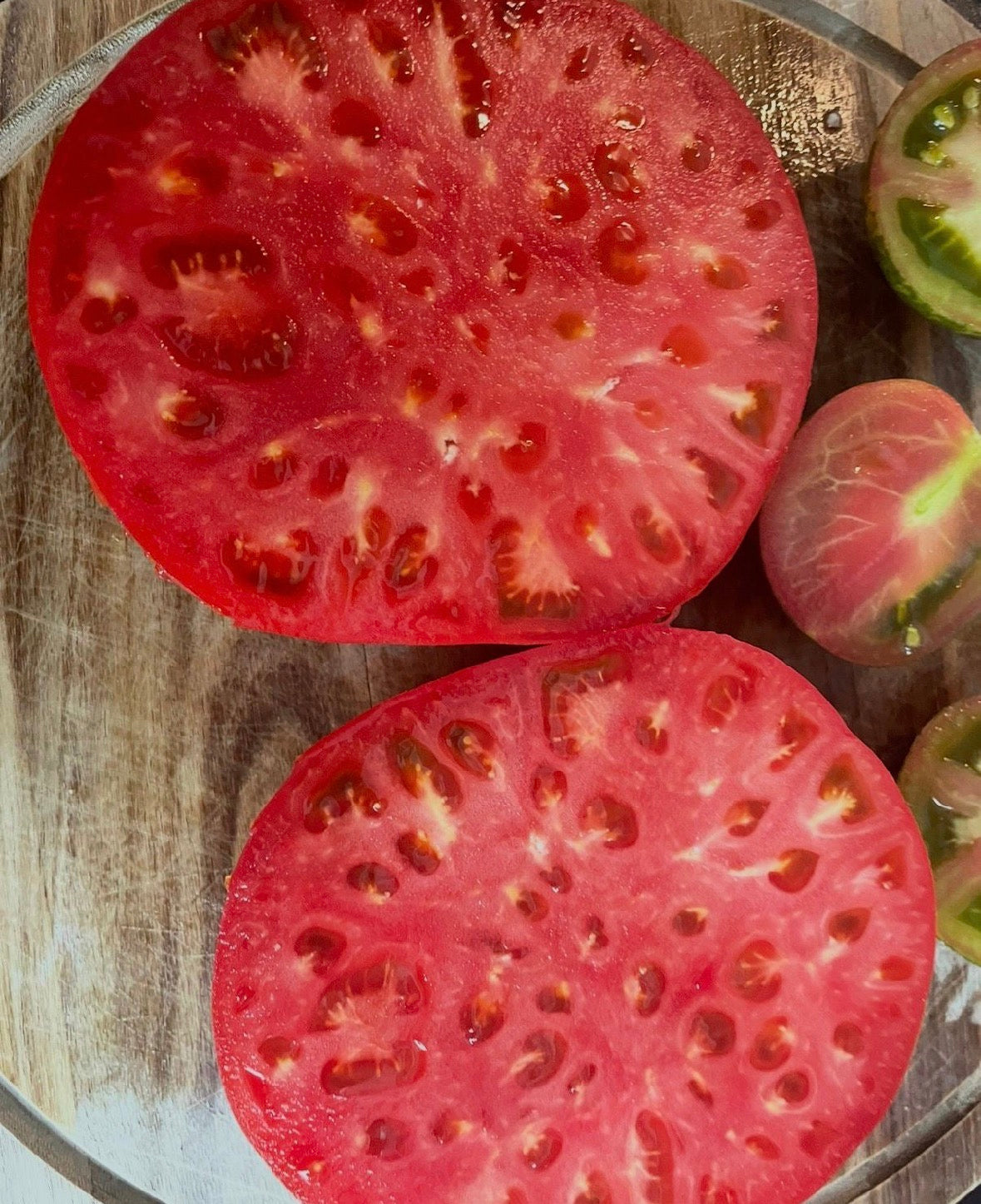 Tomaten Samen - Früher König - Король ранних