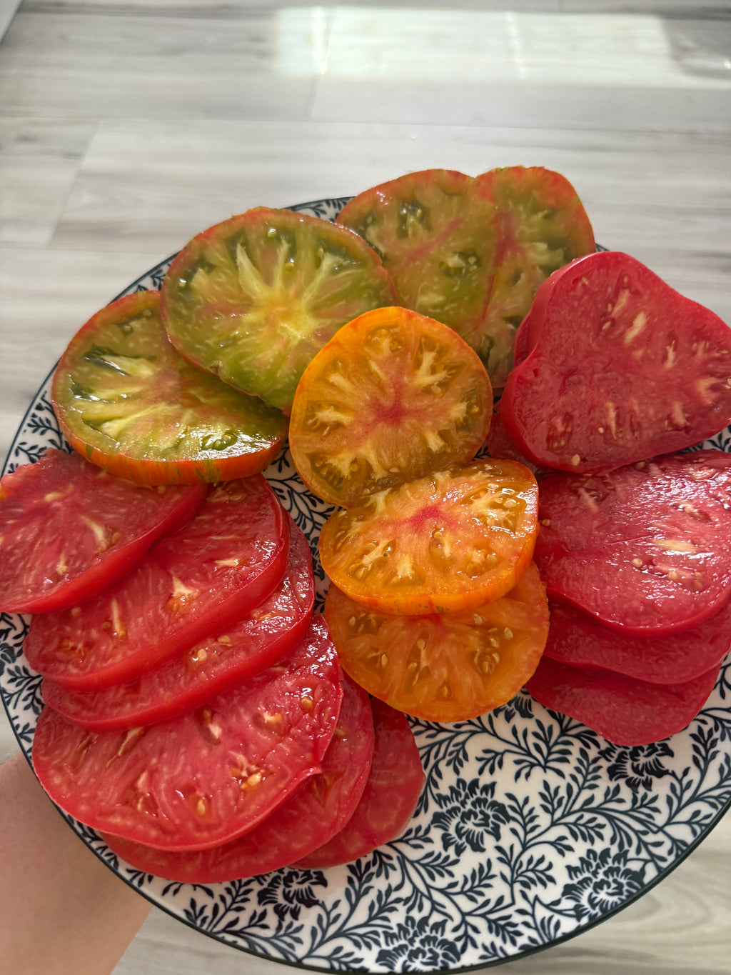 Tomaten Samen - Richardson Rot