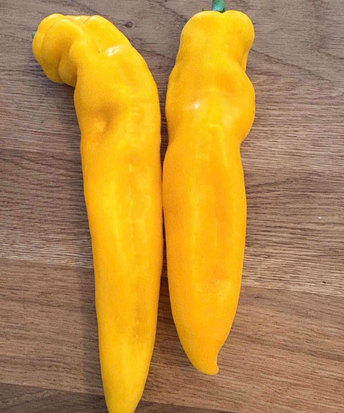 Spitzpaprika Samen Gelb - Corno Giallo