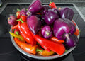 Paprika Samen - lila Paprika - purple - Лайлак бэлл