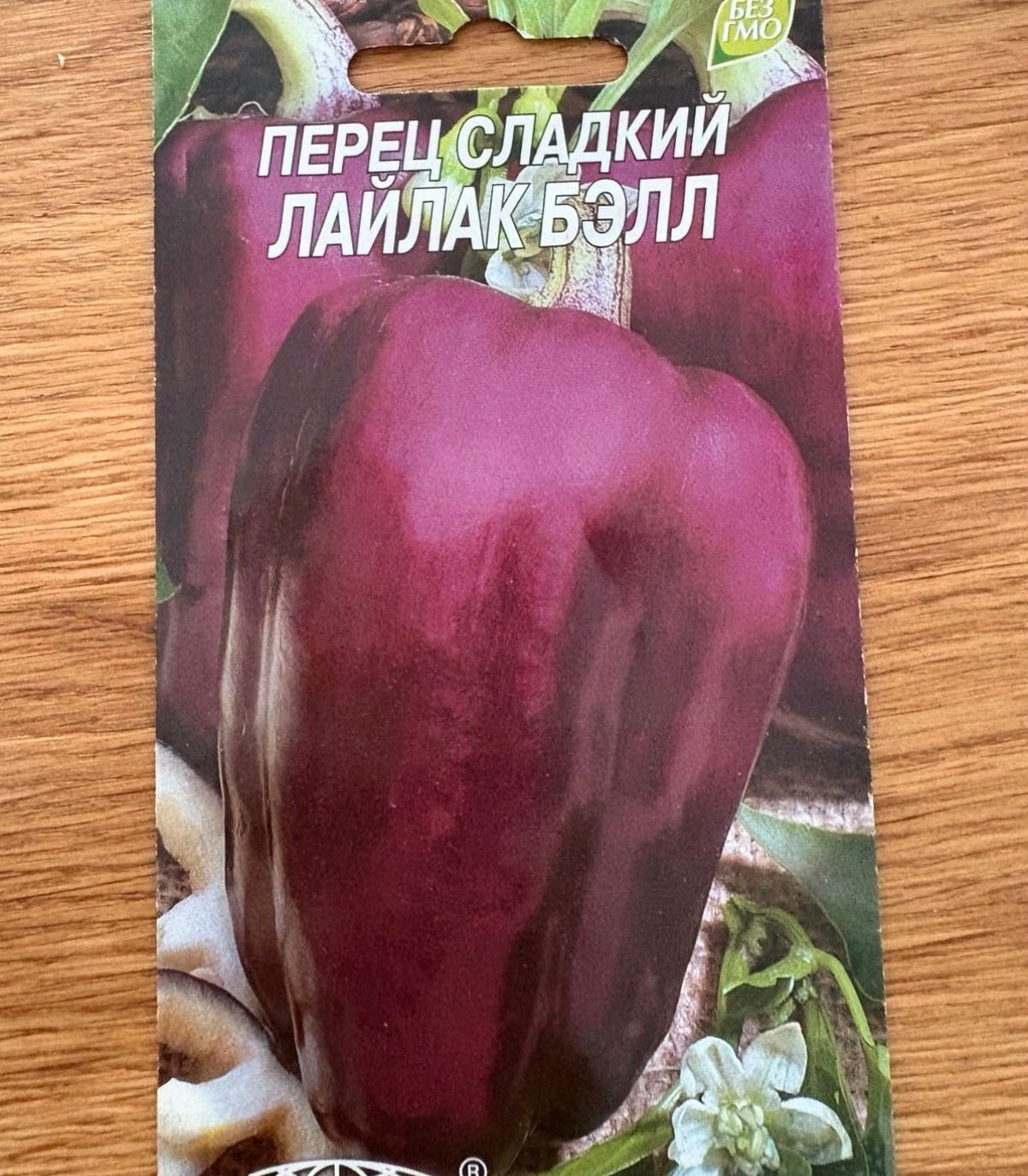 Paprika Samen - lila Paprika - purple - Лайлак бэлл