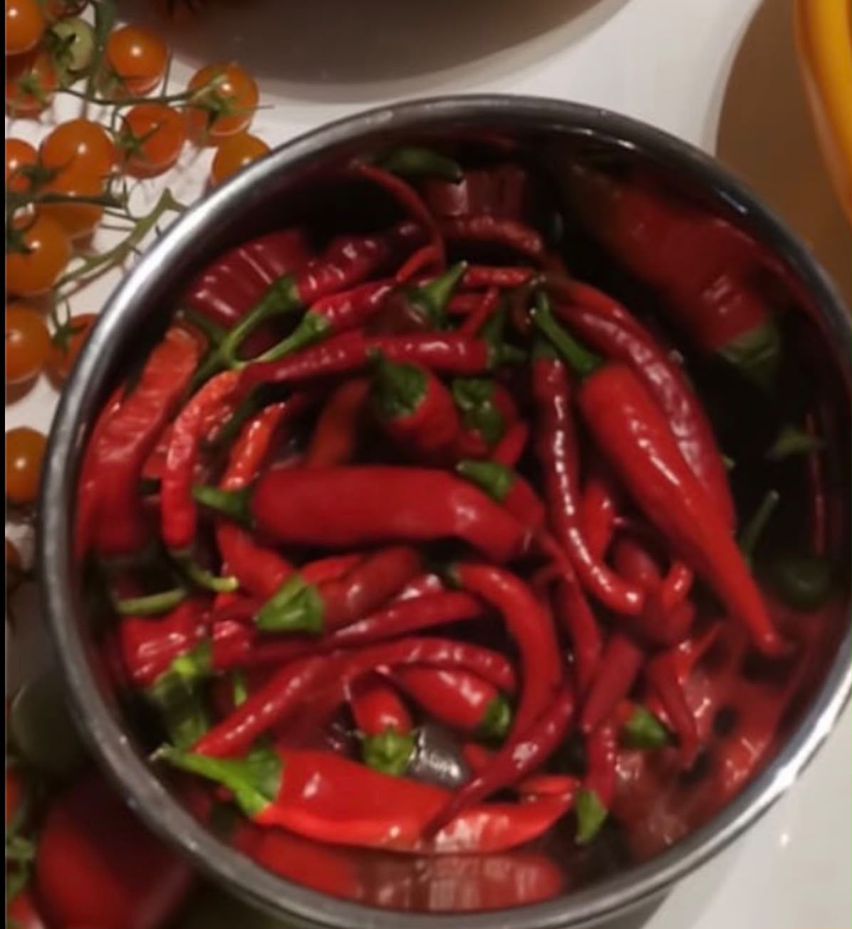Chili Samen - Cayenne- rot
