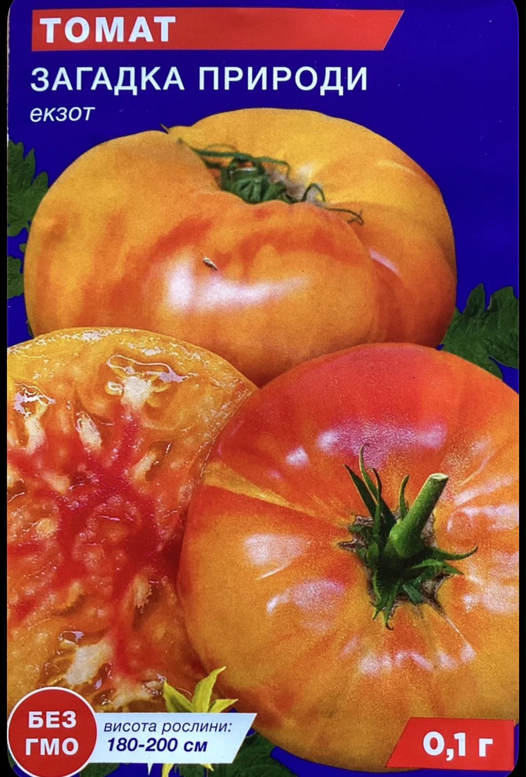 Tomaten Samen - Rätsel der Natur - Загадка природы