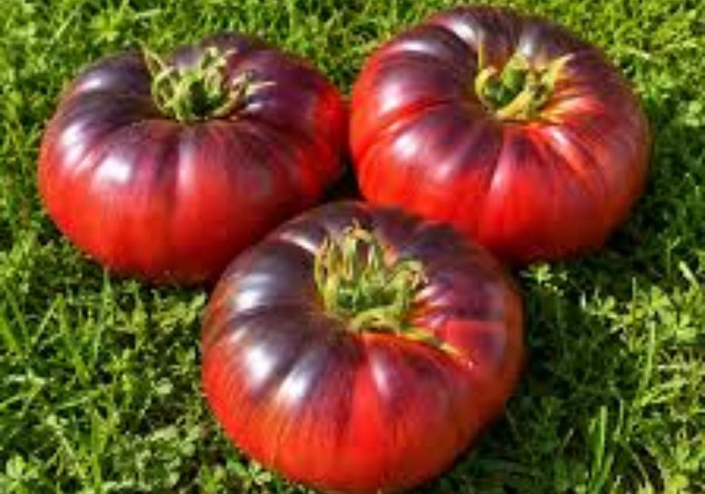Tomaten Samen - Amethyst Juwel